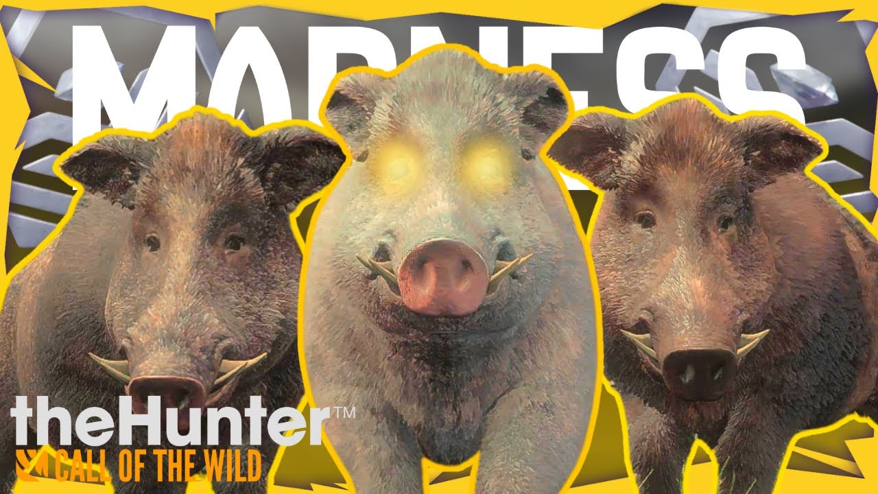 My CRAZIEST Grind Run EVER! 1 200 Kills in... | theHunter Call of the Wild
