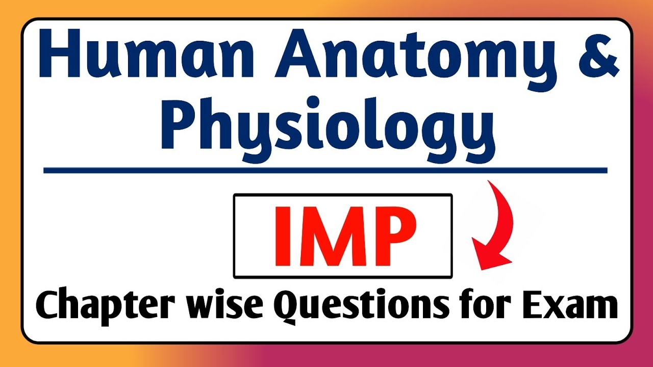 Human Anatomy and Physiology Chapter Wise IMP Questions | D. Pharma | B. Pharma #bteup #msbte
