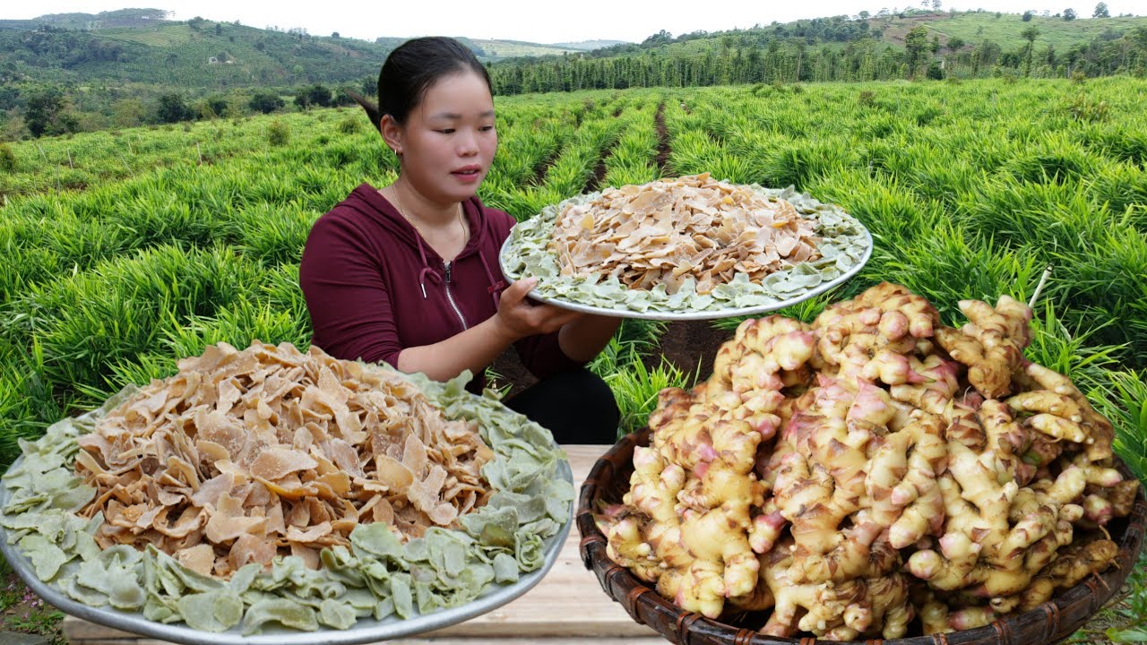Ginger Harvest - How to Make Nutritious Ginger Jam to Sell at the Market | Trieu Mai Huong.