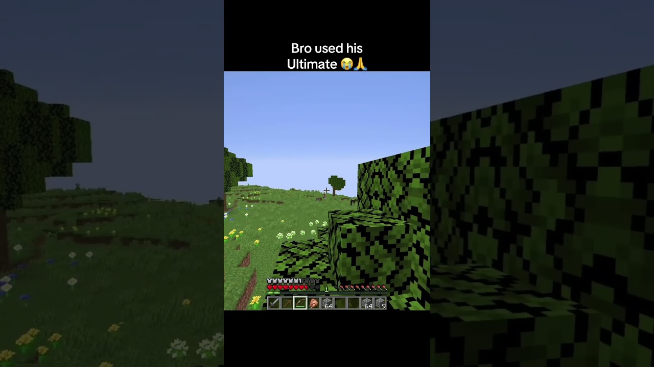 DO NOT CHECK THE SOUND 💀 #minecraft #minecraftmemes #minecraftshorts