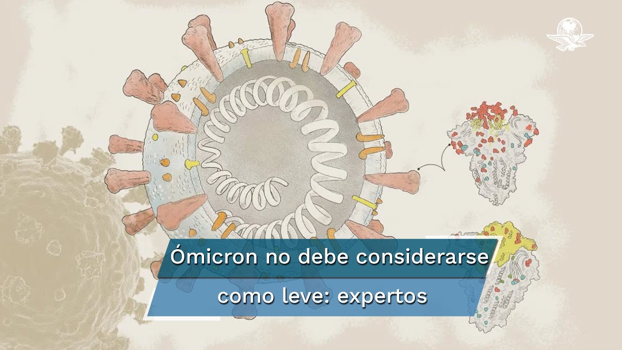 Tras haberme recuperado, ¿me puedo volver a contagiar de Covid-19?