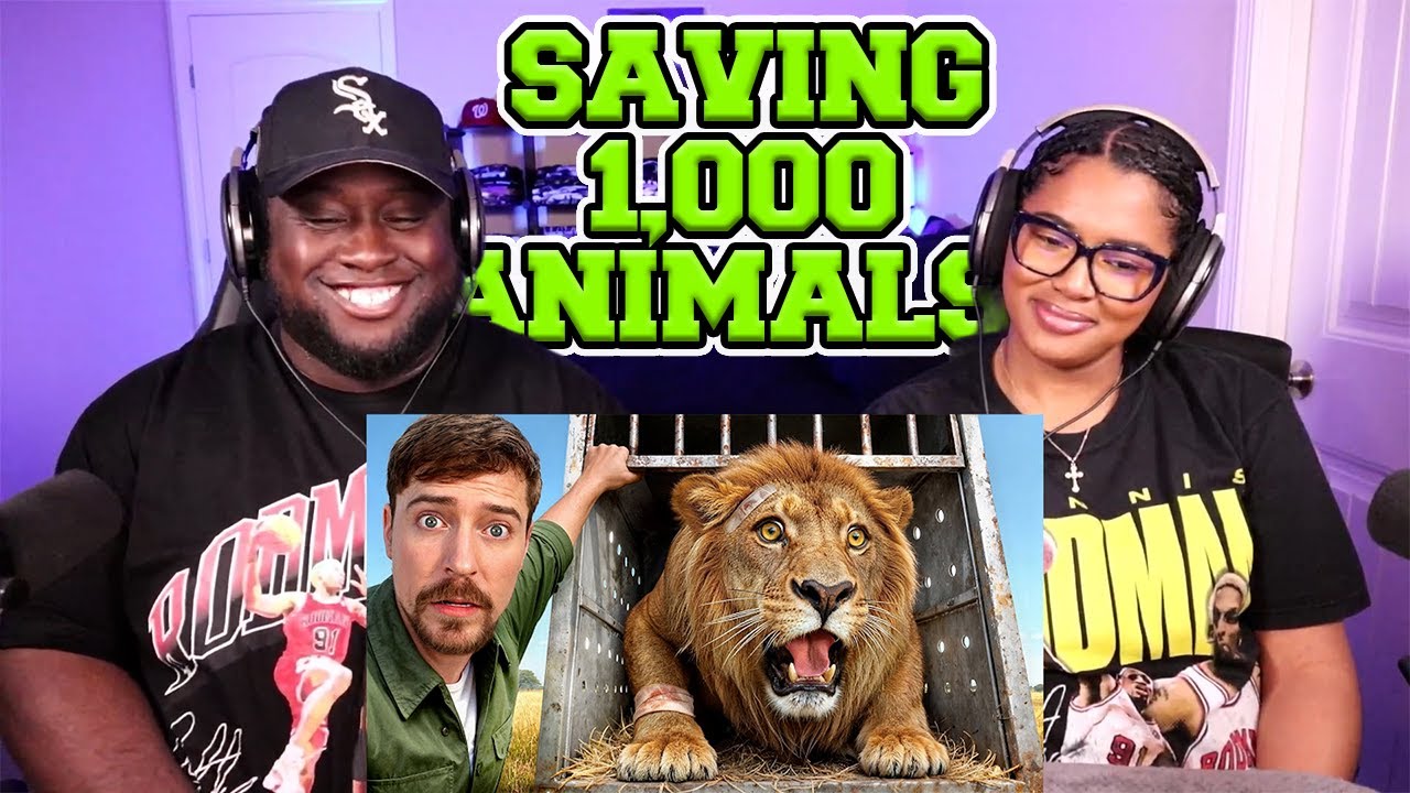 Kidd and Cee Reacts To I Saved 1,000 Animals From Dying