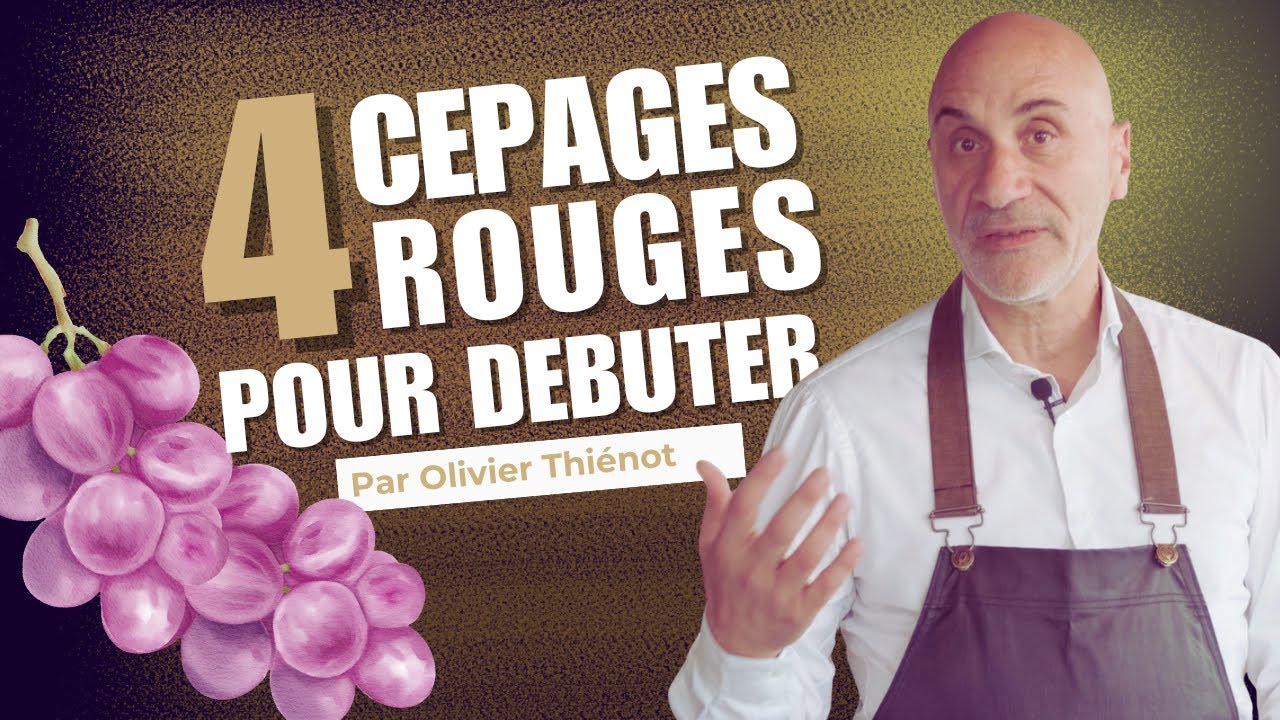 Cépages rouges : les 4 incontournables à connaître (Pinot noir, Cabernet Sauvignon, Merlot, Syrah)