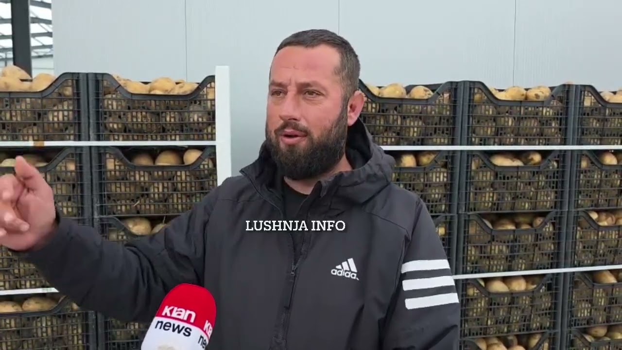 Gratë punojnë në eksport për 2500 lekë dita.Punë ka,pasi janë shtuar serat që mbillen dy herë në vit