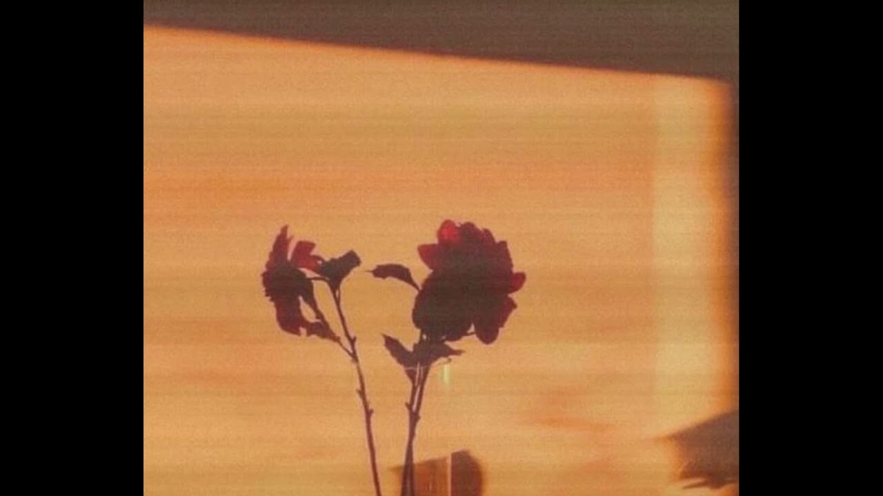 [FREE] rxseboy x powfu lofi type beat - 