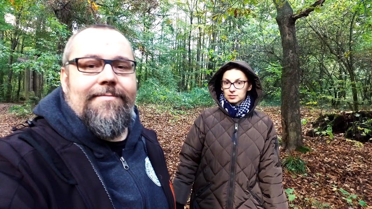 Zagubieni w lesie