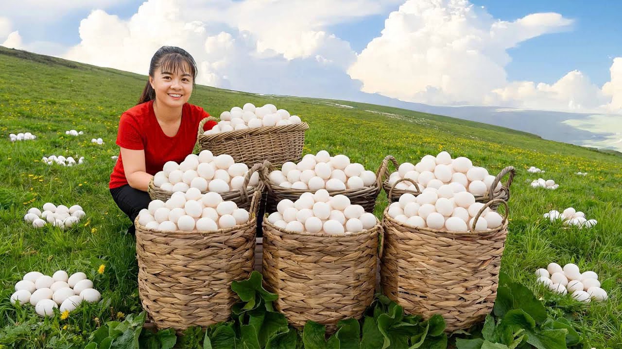 TIMELAPSE -- Harvesting Many Giant Wild Ducks Eggs & Goes to Market Sell – Highland Village Life