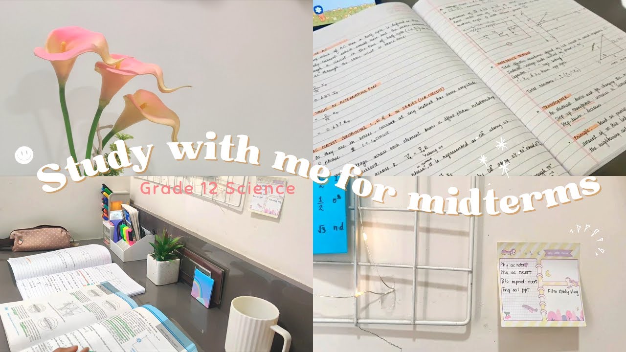 Study with me for midterms! 🌷✨️📚 Grade 12 CBSE study vlog