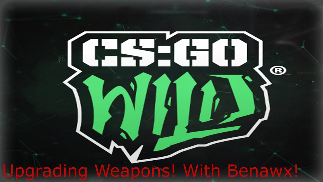 CSGO Wild Betting!