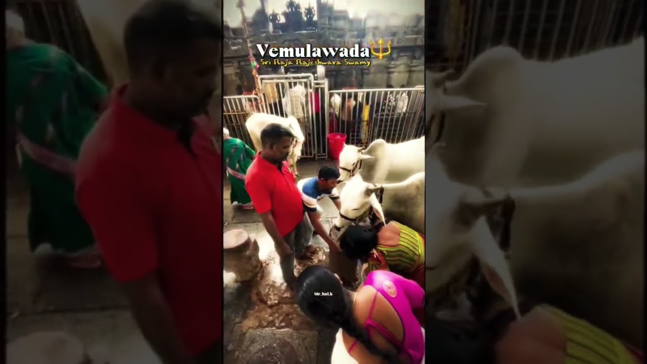 ##Vemulavada....
