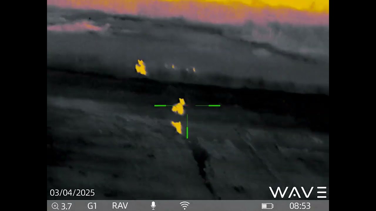 Wave ATRIS 335 thermal coyote hunt