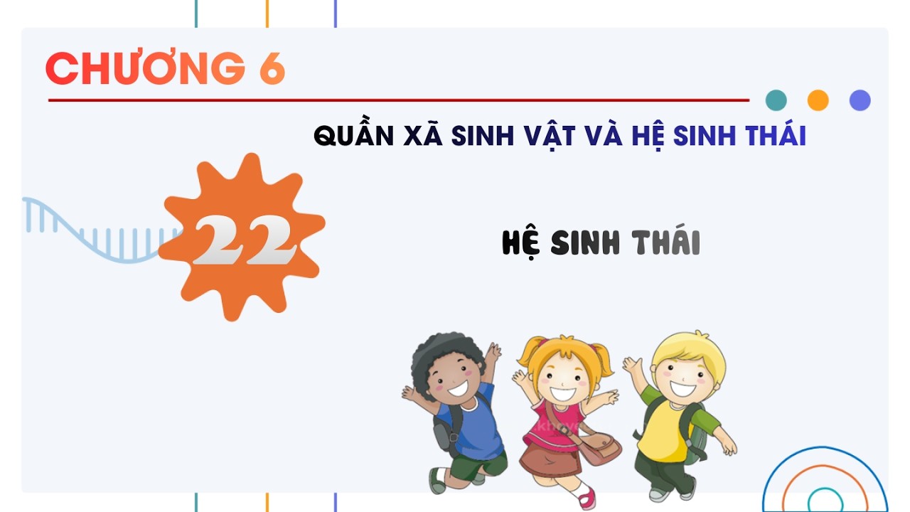 Sinh 12 |Chương 6| Bài 22: HỆ SINH THÁI