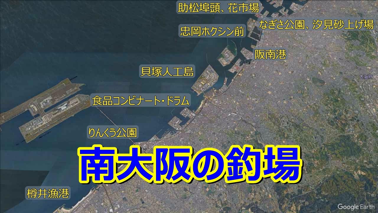 2023年秋の南大阪の釣場と釣況　ショアジギングとエギング、タチウオ、アジ、カワハギ、サヨリなど