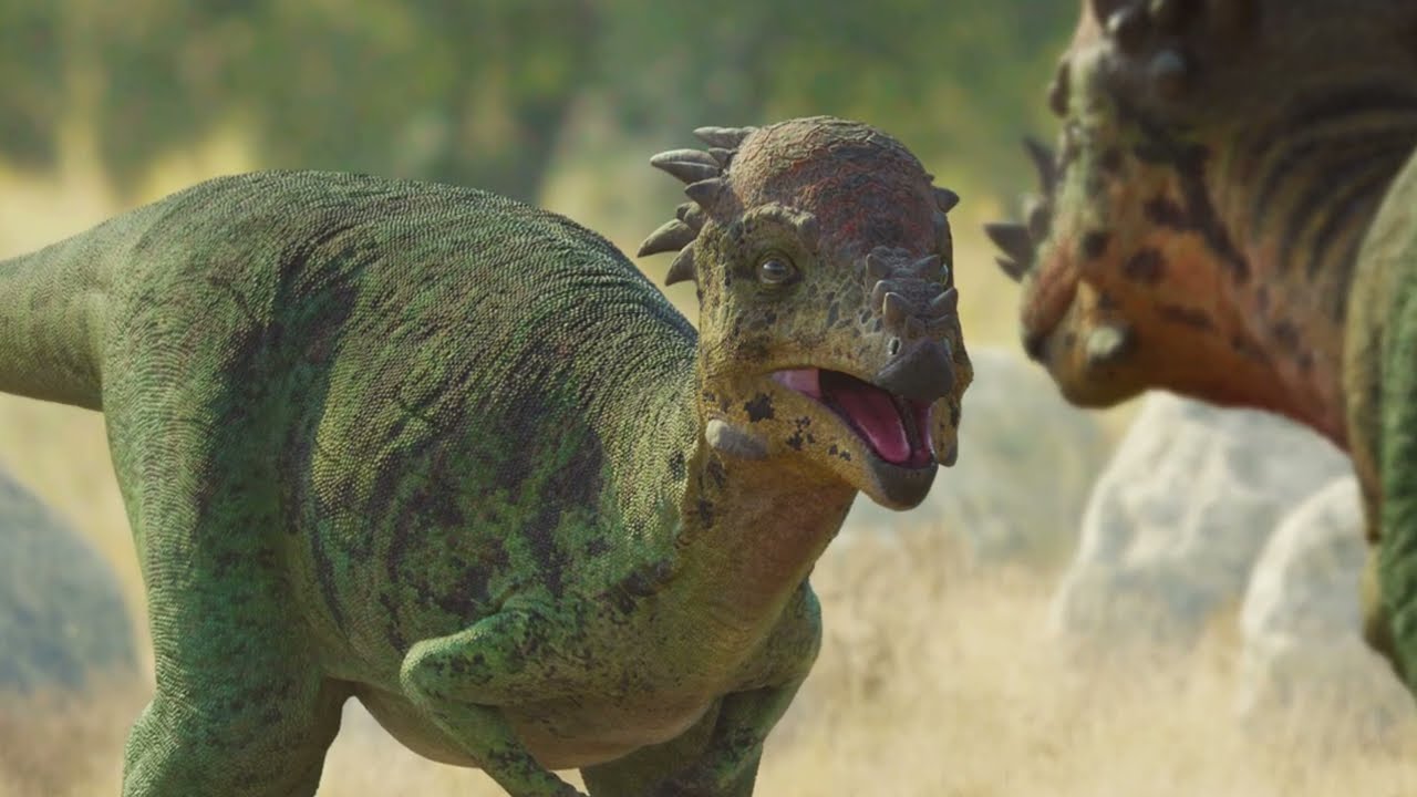 Dinosaur Bone Heads: Examining the Pachycephalosaurs