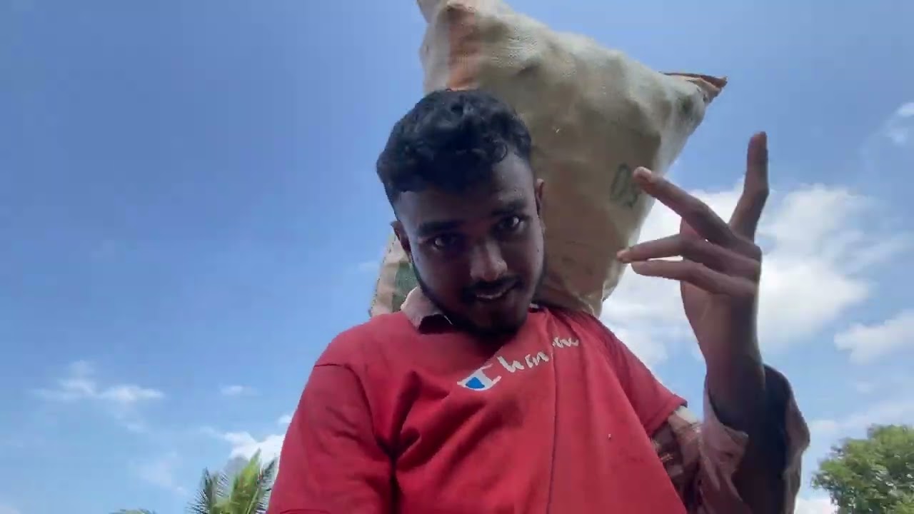 බඩ ඉරුගු වගාව 🌱  කොමද ?