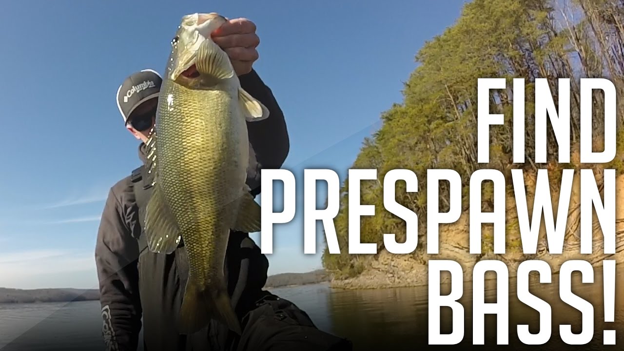 How To Find BIG Pre-Spawn Bass! || Pre-Spawn Bass Fishing In East Tennessee