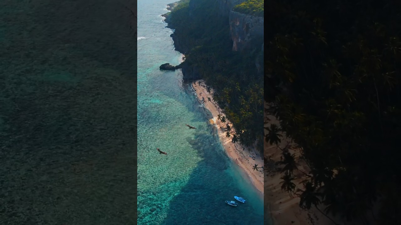 Drone Fronton Beach Samana Dominican Republic