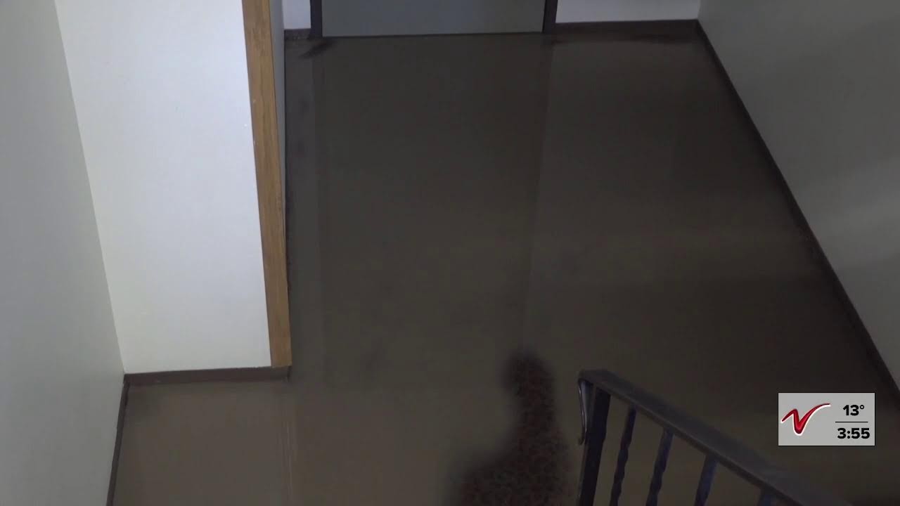 VNN Afternoon Update