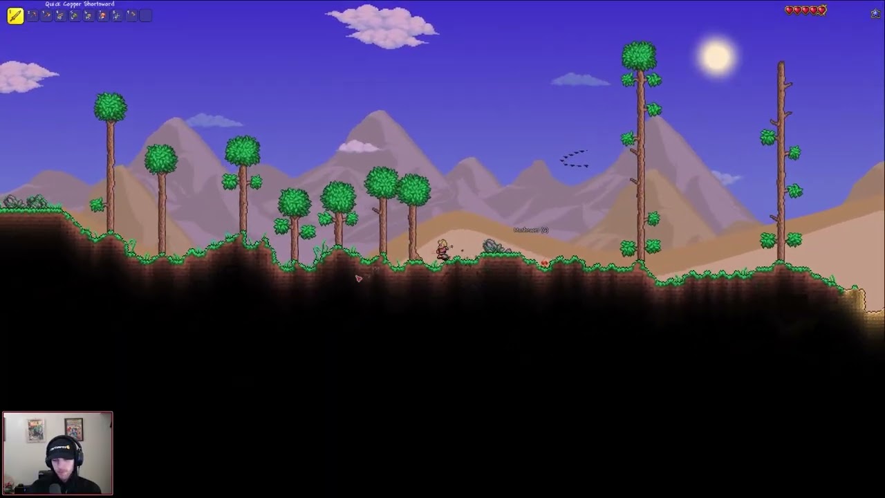 A Solo Dolo Adventure! (Terraria)