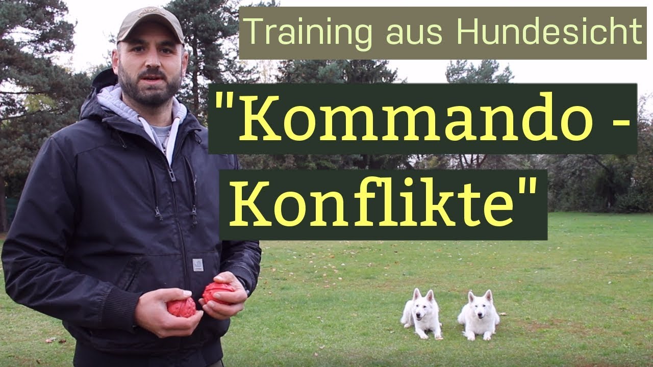 Kommando Konflikte im Hundetraining