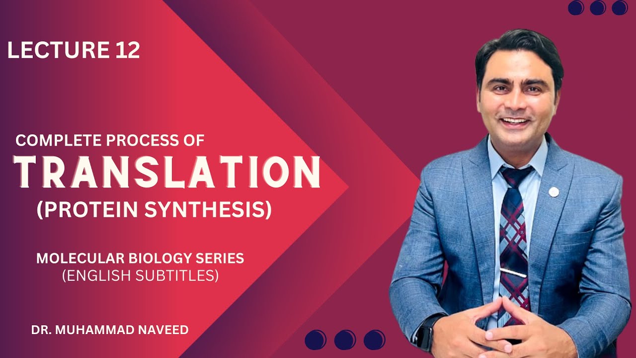 Translation | Protein Synthesis | Complete Process | tRNA | rRNA| Lecture 12 | Dr. Muhammad Naveed