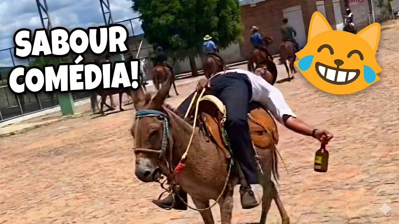 TENTE NÃO RIR: OS MELHORES MEMES DA INTERNET 2026