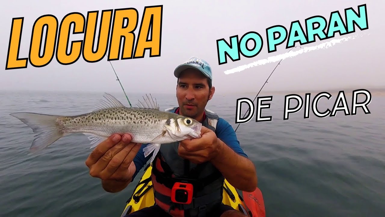 ⚡ PESCA CURRICÁN KAYAK: CURRICAN COSTERO de SUPERFICIE con NIEBLA 🌫️