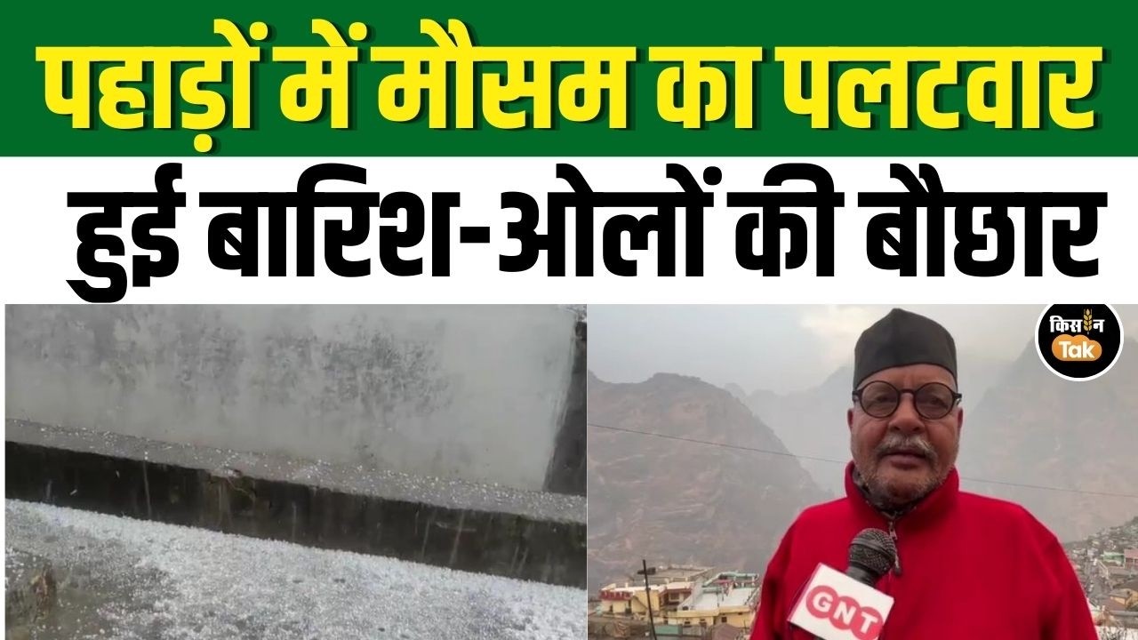 Uttarakhand Weather Update: पहाड़ों में अचानक बदला मौसम का मिजाज, जमकर बारिश और ओलावृष्टि #rain