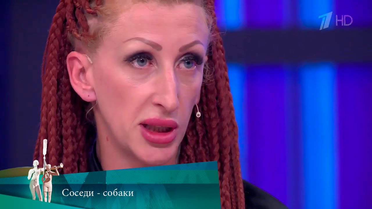 МЖ. Соседи - собаки. 13.09.2023