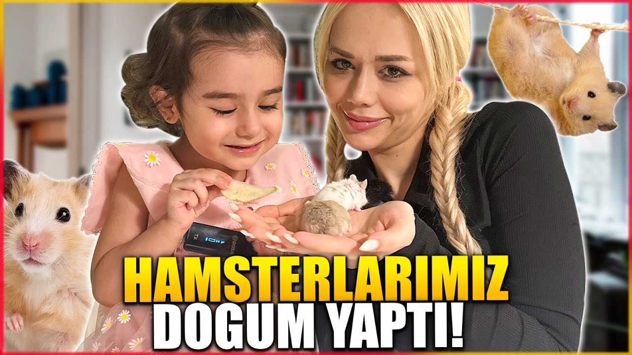 ŞOK OLDUK!! HAMSTERİMİZ DOĞURDU 😱(Bir S&uuml;r&uuml; Bebeğimiz Oldu) @GamzeKarta