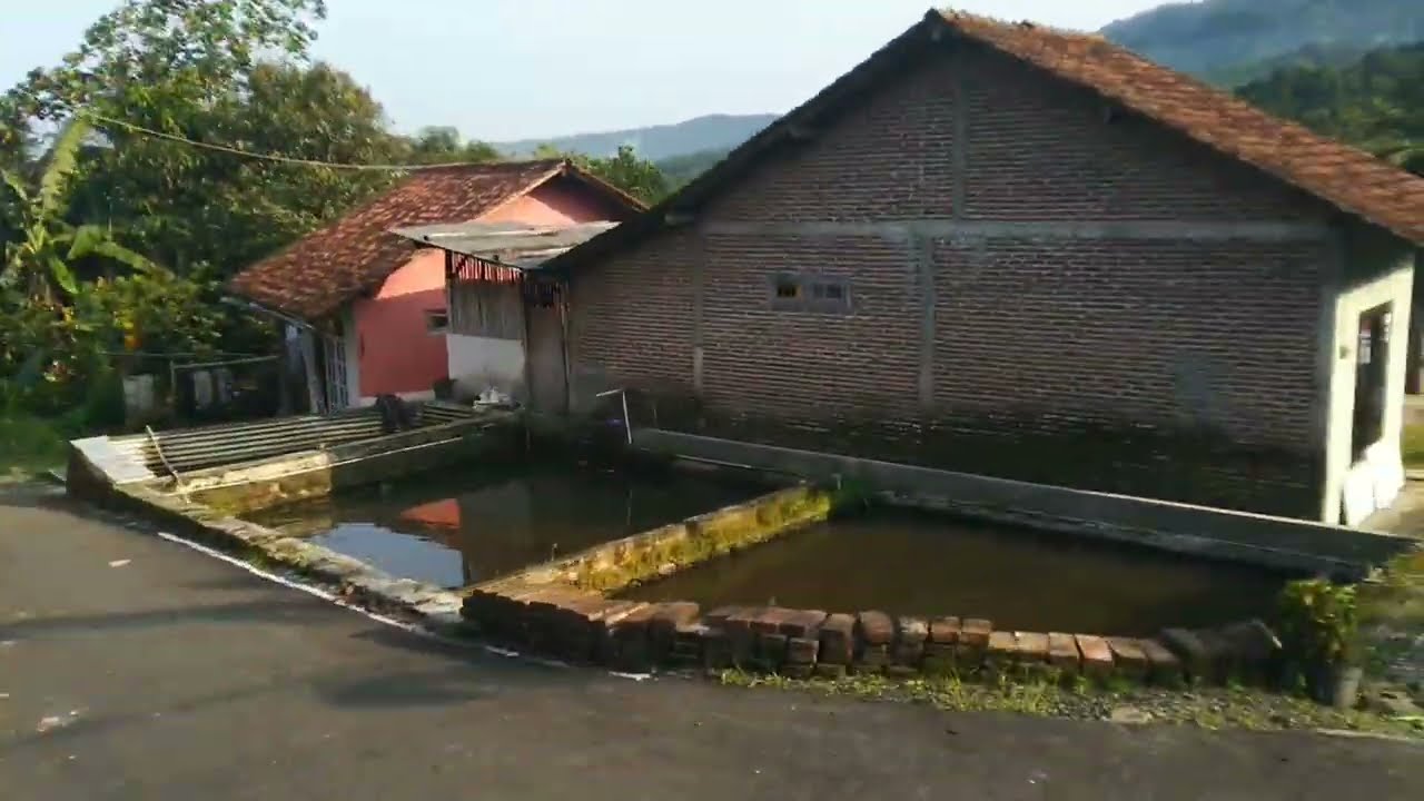 Pesona Keindahan Desa Pekuncen, kecamatan Pekuncen, kabupaten Banyumas, Jawa Tengah