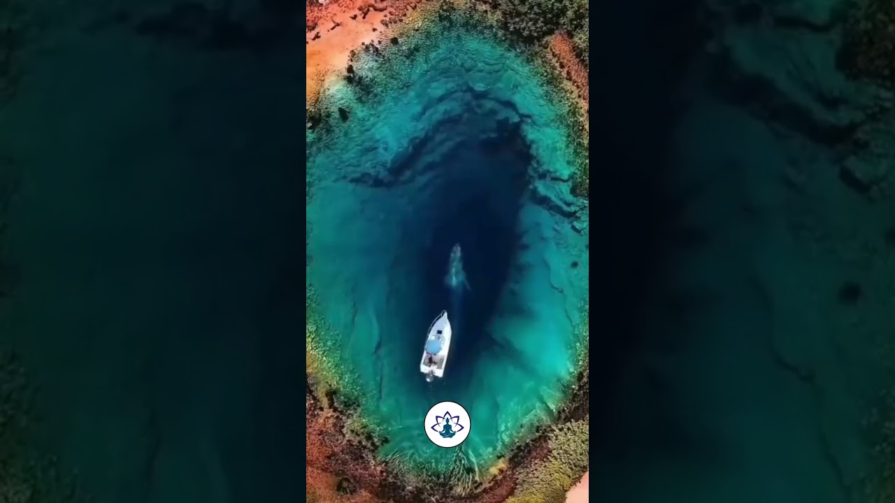 Zen Garden Serenity: Floral Tranquility 🌺 