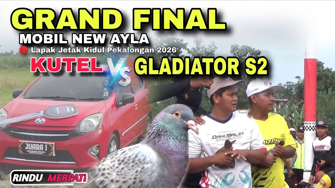 Final Amazing‼️ Gladiator S2