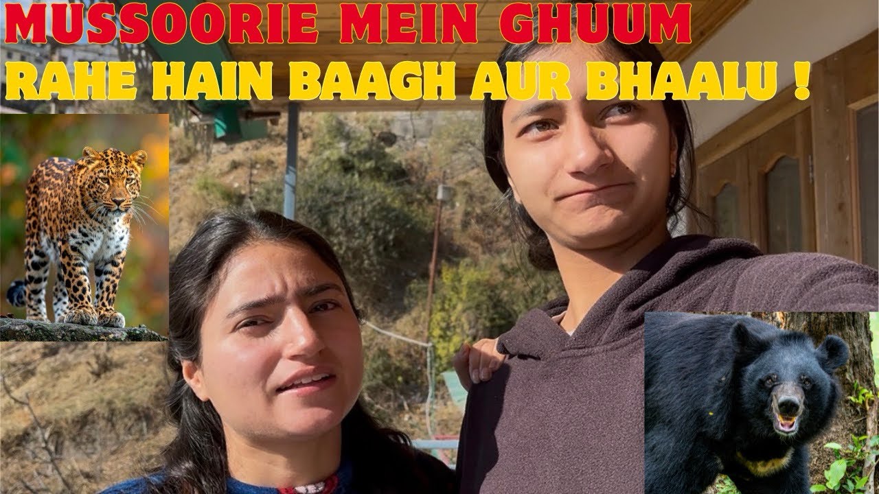 Mussoorie Mein Ghuum Rahe Hein Baagh Aur Bhaalu!😳 ll Hum Walk Pe Kyu Nhi Jarey?🤯 ll Elmandever