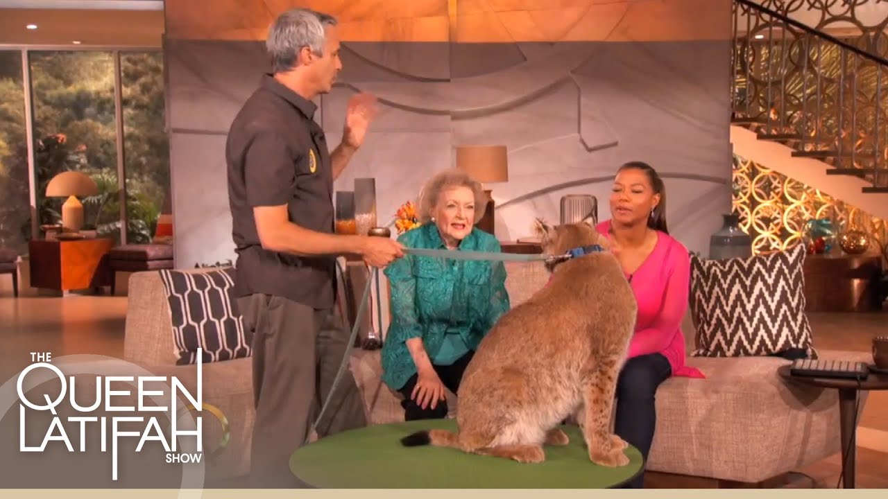 Betty White Brings Some Furry Friends For a Visit on The Queen Latifah Show