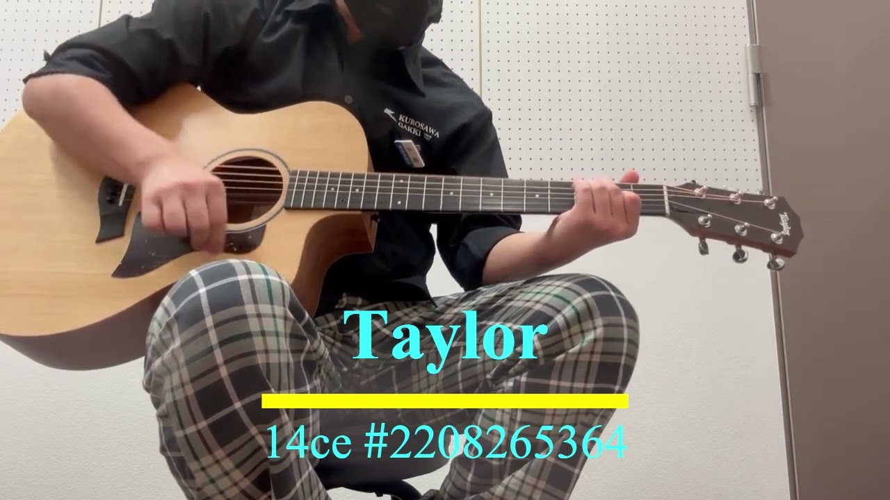【試奏動画】Taylor 14ce 