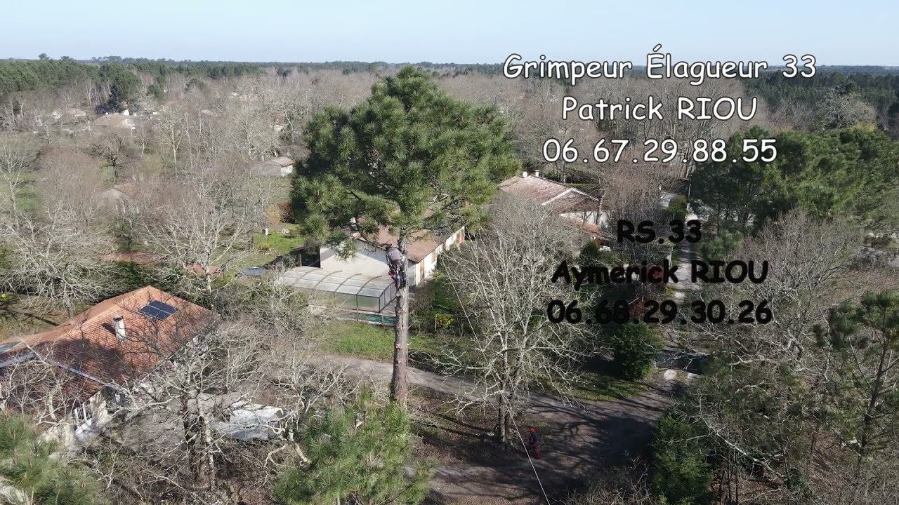 d&eacute;montage pin maritime