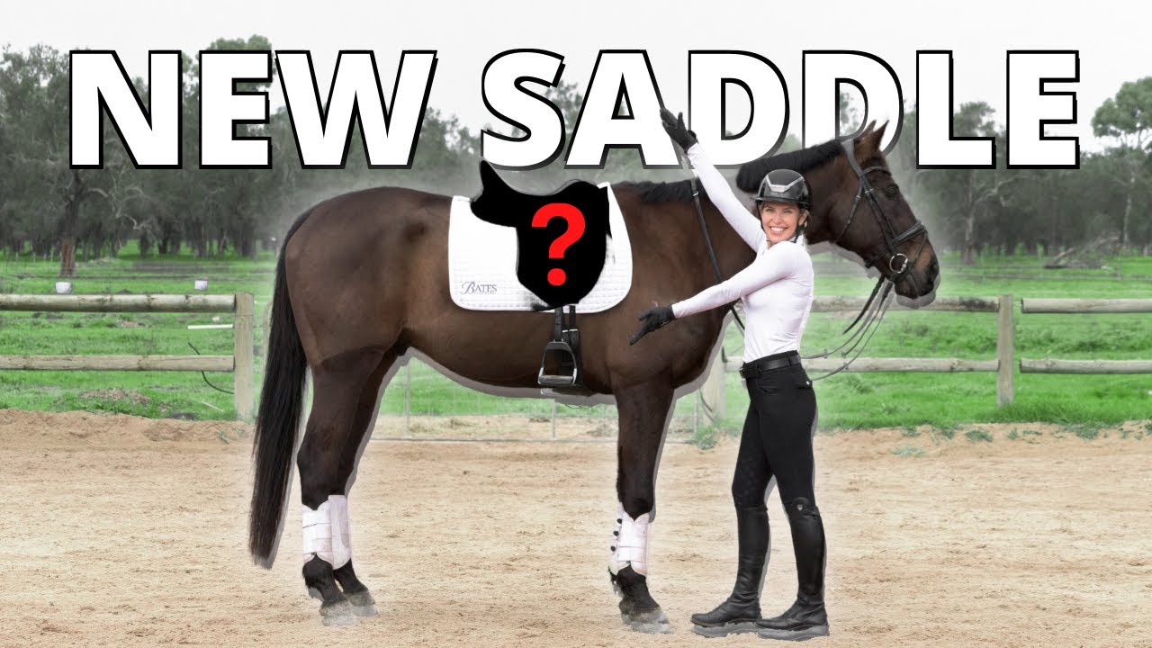 Unboxing and First Ride in my New Bates Saddle!