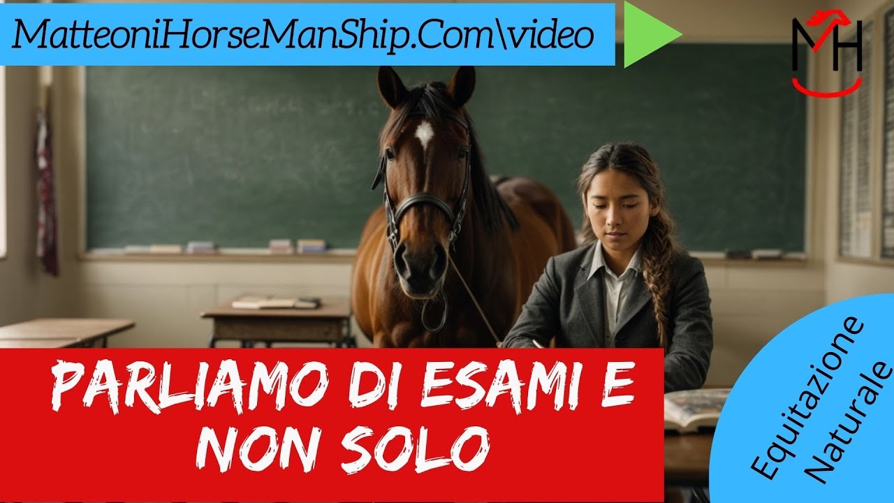 Parliamo di Esami e non solo - Livello 2  OL9 e OL10