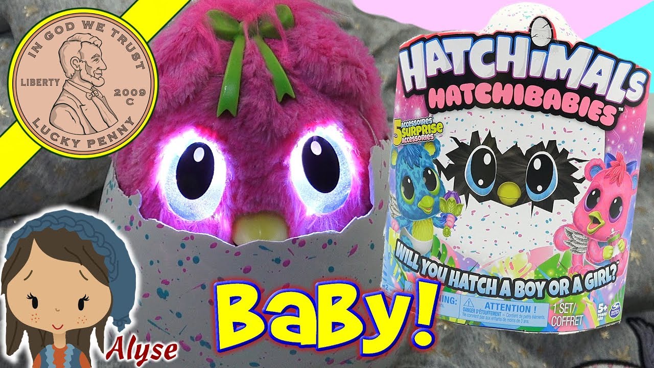 NEW Hatchimals HatchiBabies Is It A Boy Or Girl?