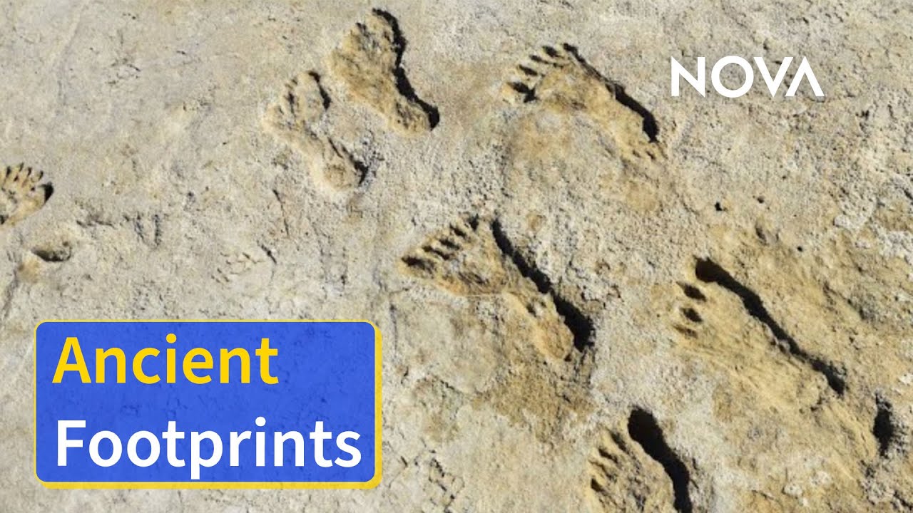 Humans May Have Lived in North America Earlier Than Thought