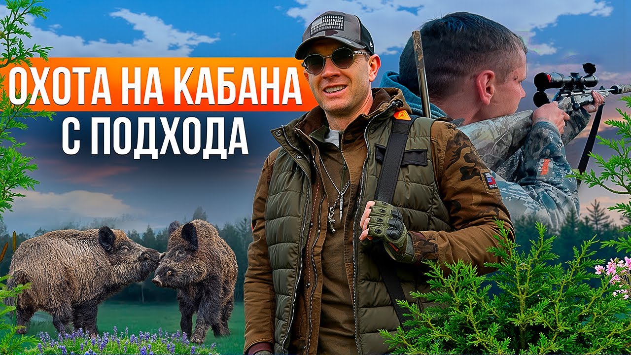Трудовая охота. Подошли к кабану на 10 метров  Охота в Беларуси. Охота с подхода ночью.
