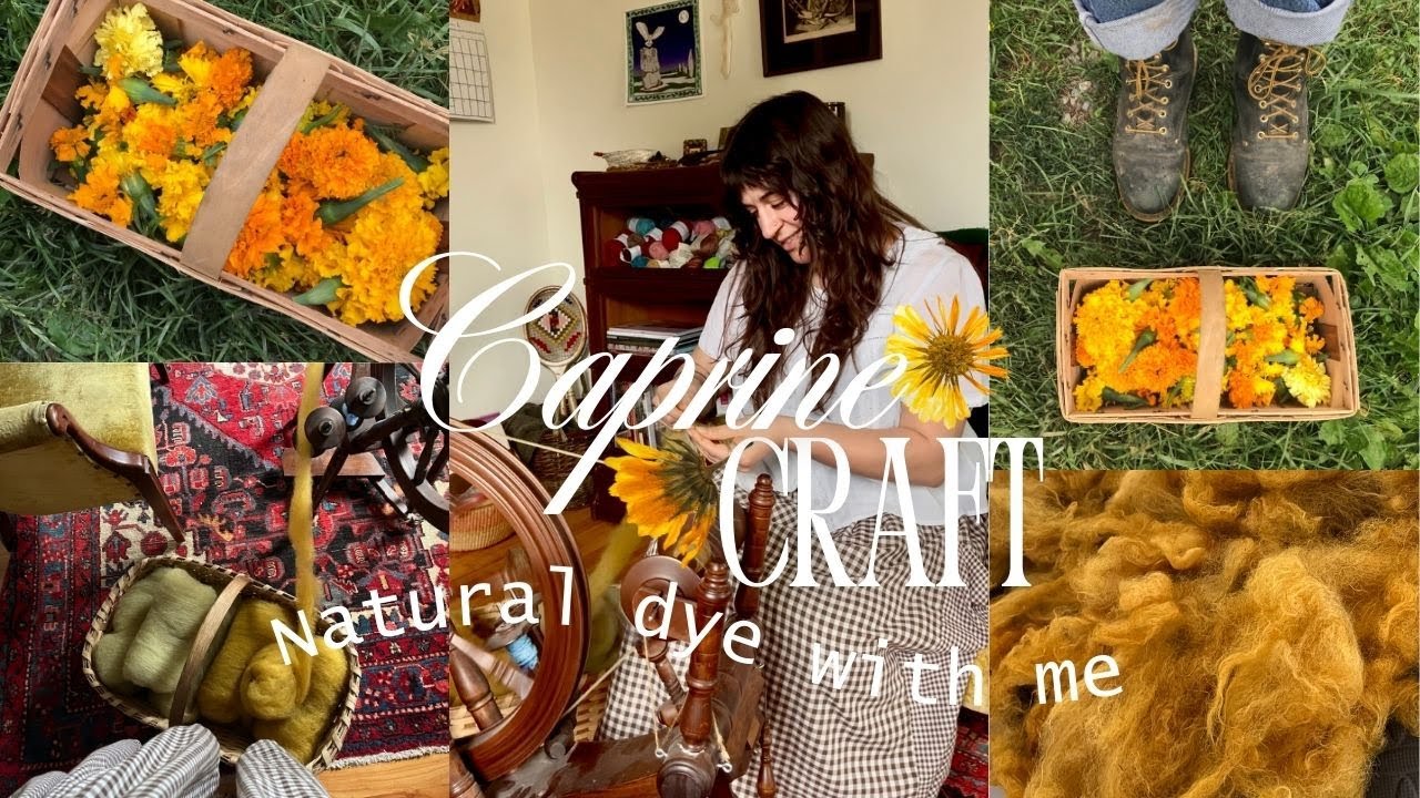 Caprine Craft, выпуск 5 | Натуральное окрашивание шерсти с календулой