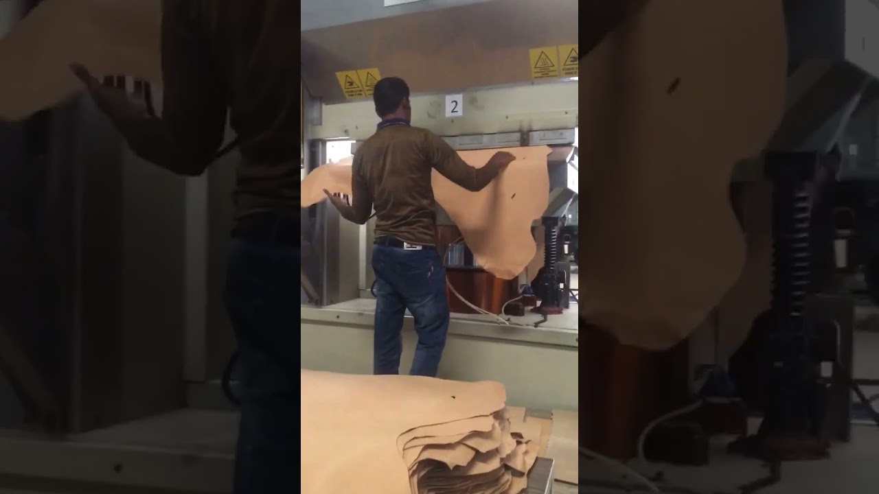 History of Leather working | How Leather is made in Factory | Leather processing