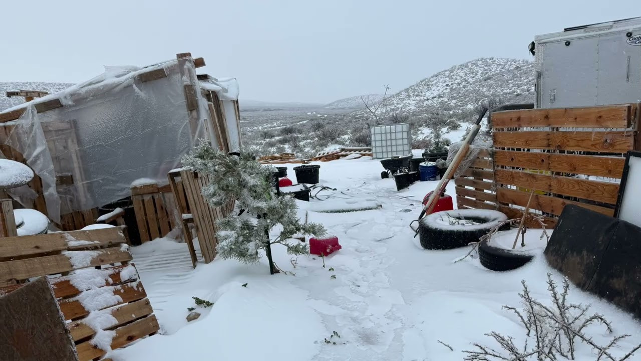 Winter Storm 2026 Photo Recap | Snowy Days on Our Off-Grid Homestead