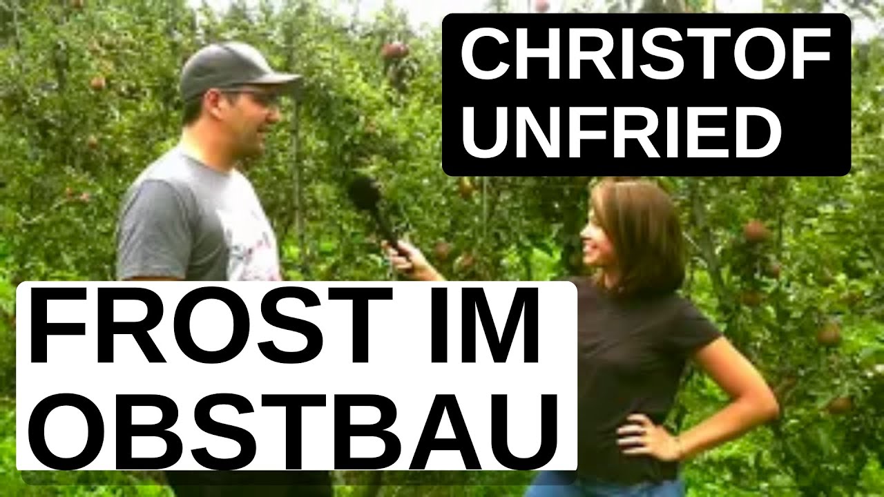 B2P Interview | Frost im Obstbau