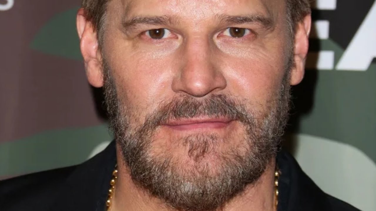 La Verdad Revelada Sobre David Boreanaz