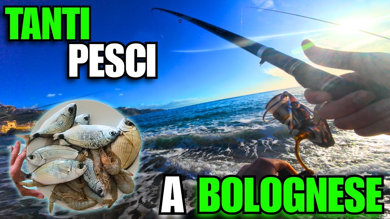 Proviamo la SUPER Mazzancolla! | Pesca a Bolognese dalla Spiaggia