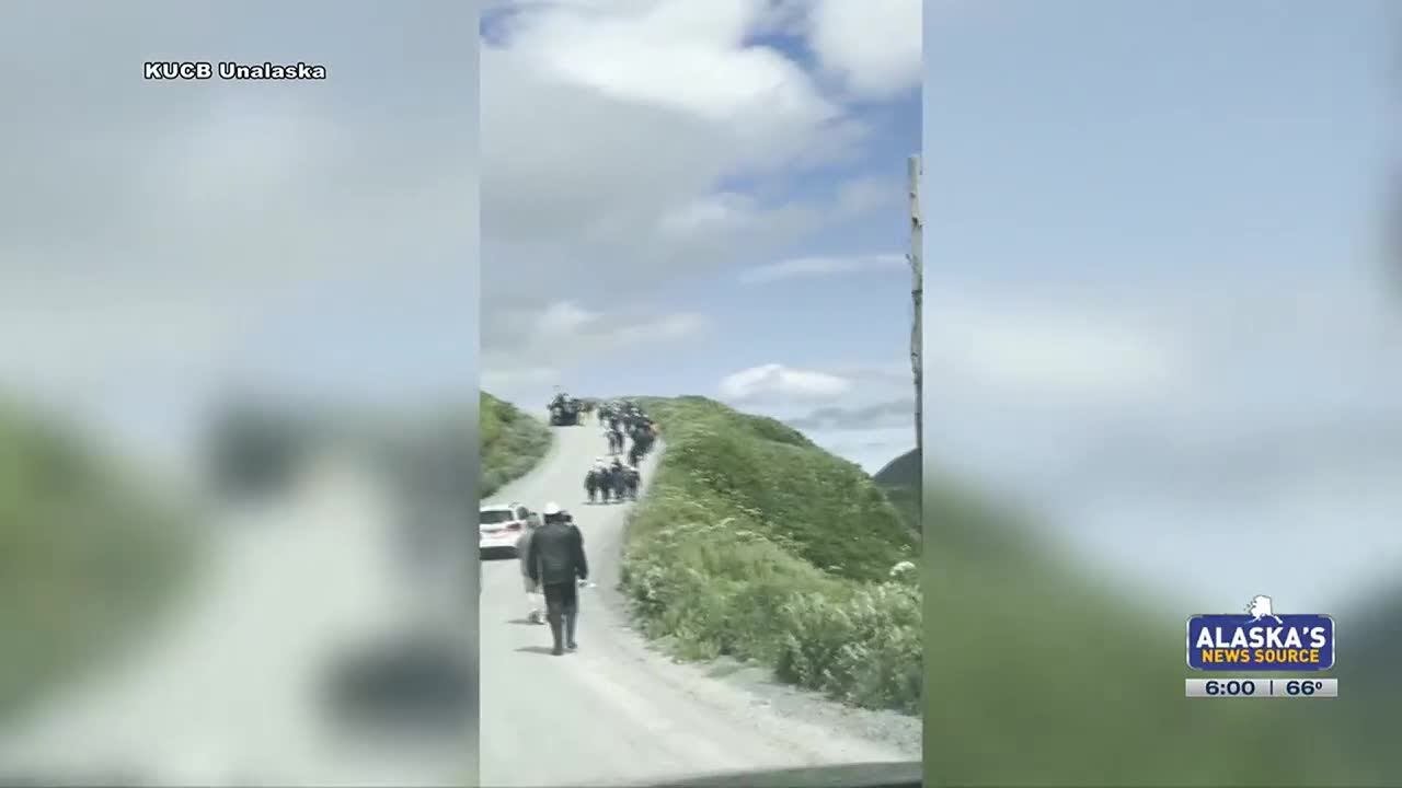 Alaskans shaken by magnitude 7.3 earthquake, tsunami warnings