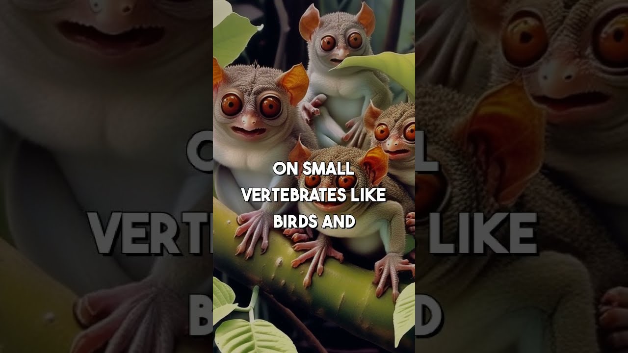 Mind-Blowing Tarsier Facts: Unveiling the Tiny Titan! 🐒 #monkey  #tarsier #crazyfacts